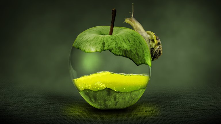Snail_on_Green_Apple_uhd